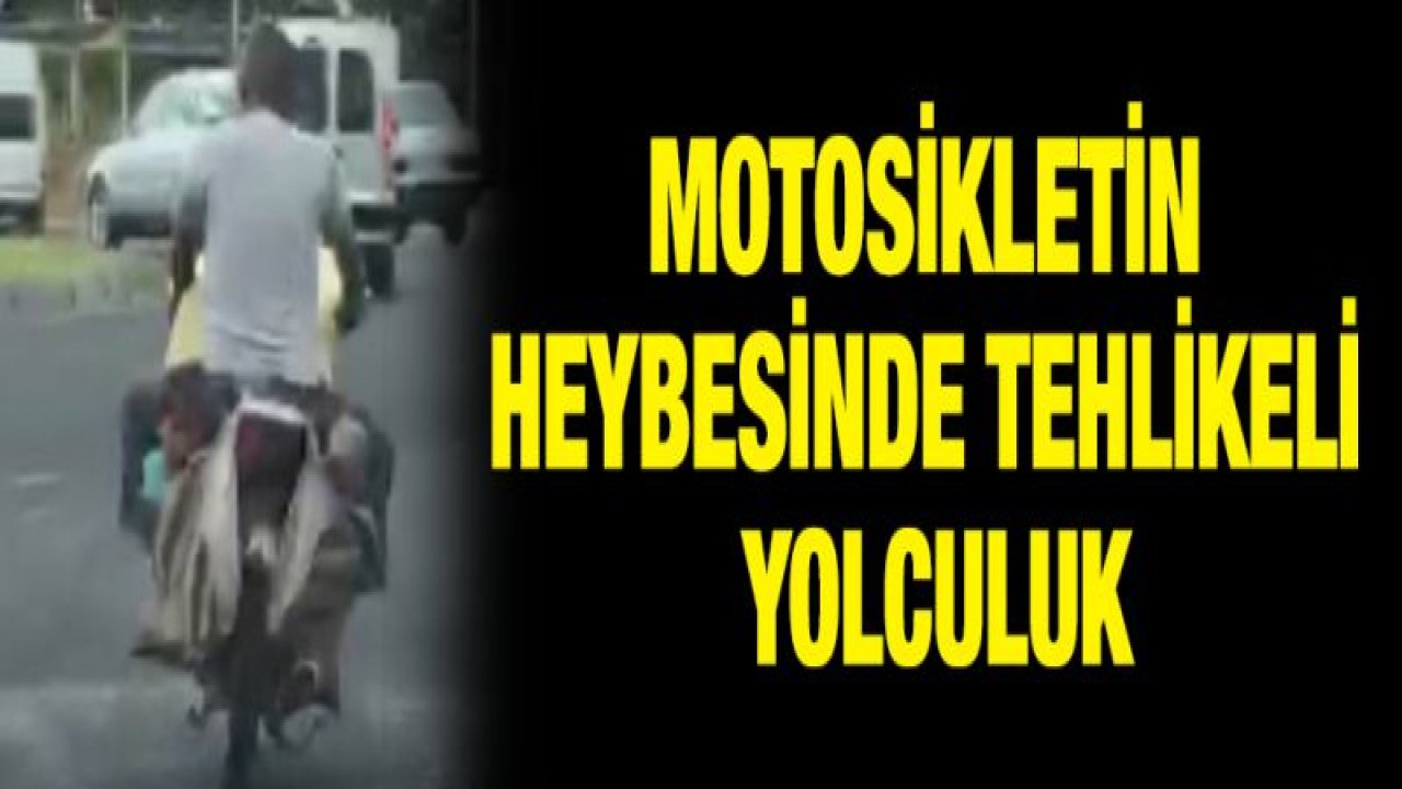 Motosikletin heybesinde tehlikeli yolculuk