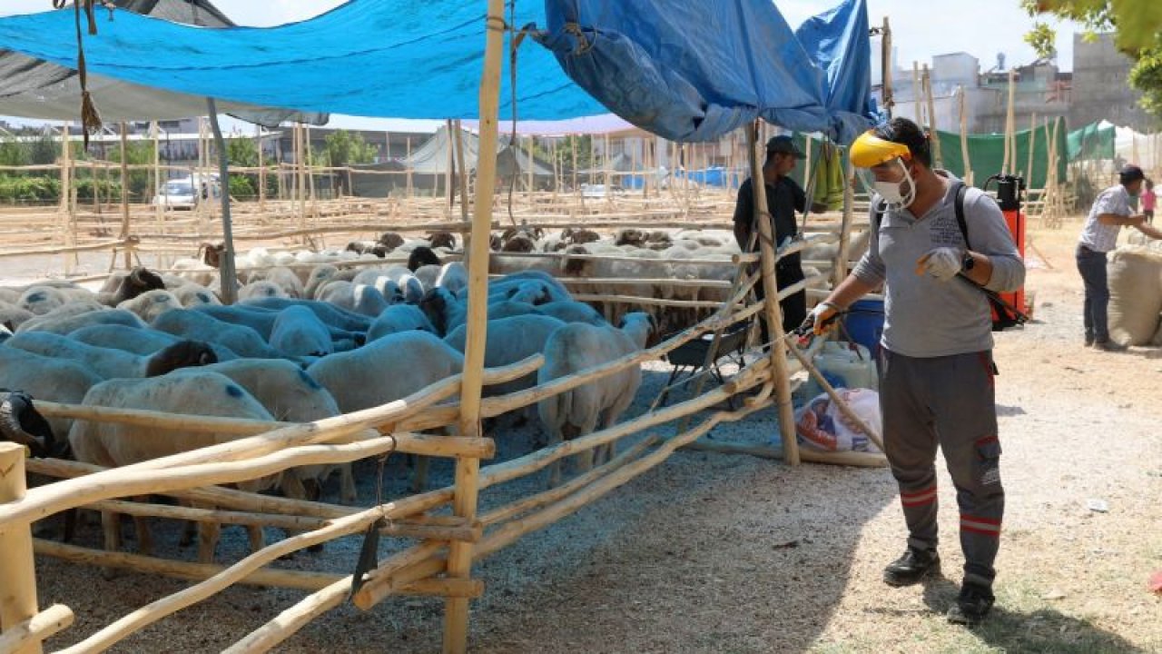 Gaziantep Büyükşehir, kurban satış ve kesim yerlerinde ilaçlama çalışmalarına başladı