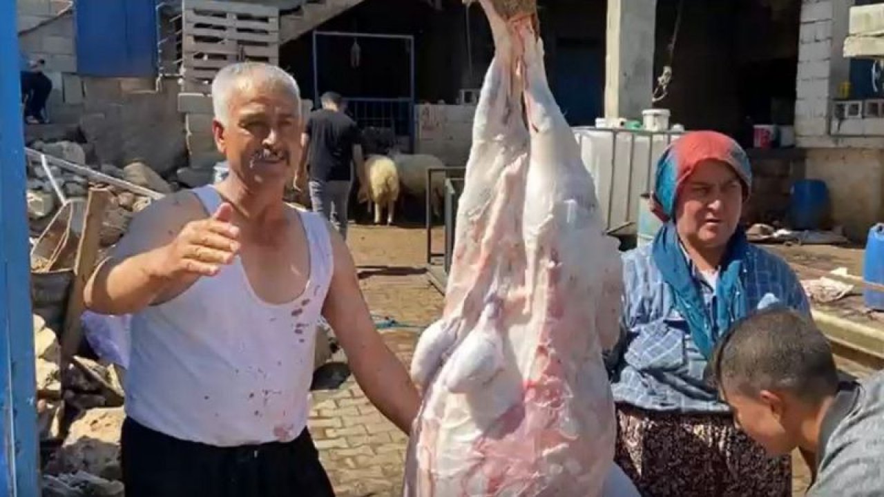 Gaziantep'te Türkülü kurban kesimi gülümsetti...O ANLAR KAMERADA