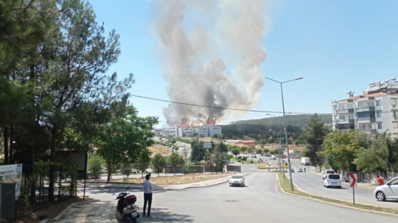 Gaziantep Burç Ormanı Yanıyor...Yangına helikopterle ve Uçakla müdahale anları kameralara yansıdı.Yangının Gaziantep Üniversitesine ulaşmasından korkuluyor... Aşırı Sıcaklık Ve Rüzgar Müdahaleyi Zorlaştırıyor!