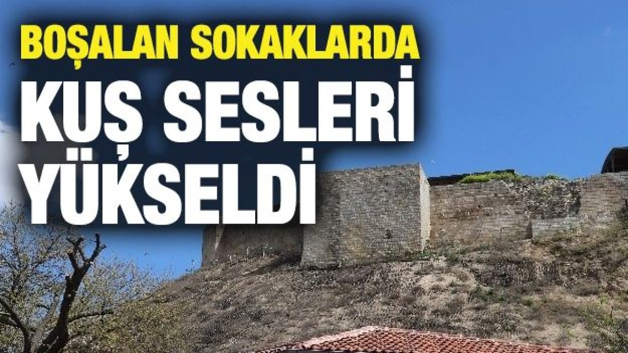 Boşalan sokaklarda kuş sesleri yükseldi