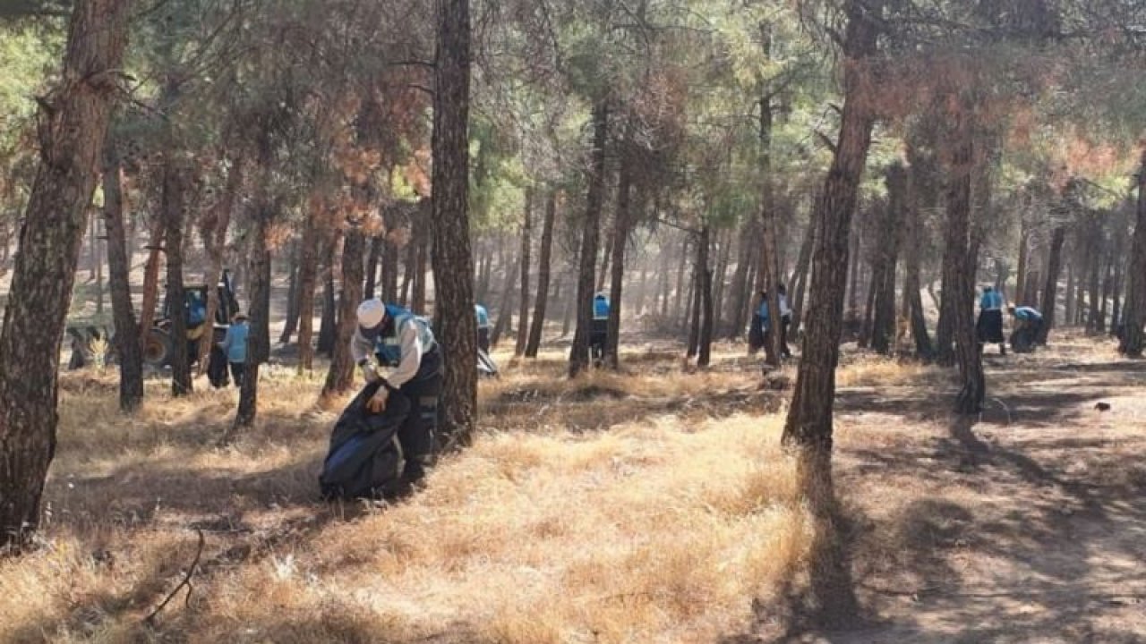 Gaziantep’te orman alanlarına giriş yasaklandı