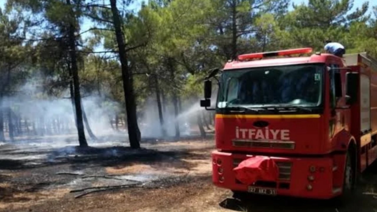 Son Dakika...Gaziantep Burç ormanlarında yine yangın çıktı