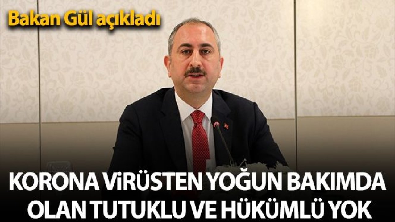 Bakan Gül: '120 tutuklu ve hükümlüye Covid-19 tanısı konuldu'