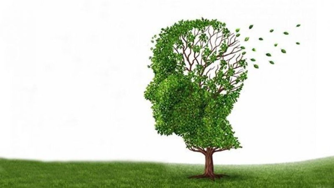 Uzmanlar Alzheimer’a Karşı Önlem Maddelerini Açıkladı! Bu Beslenme Alışkanlıkları Hafızanızı Güçlendirecek!