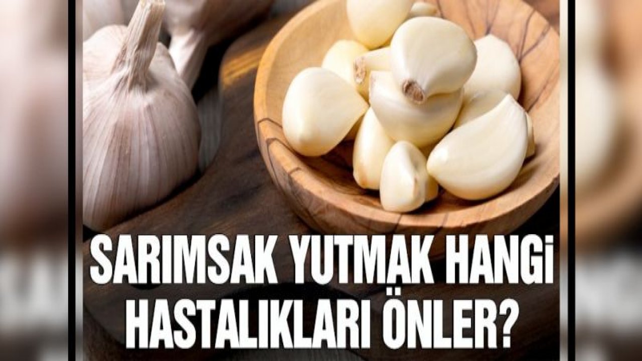 Sarımsak yutmanın faydaları