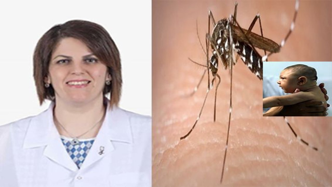 Zika virüsüne karşı uyarılar