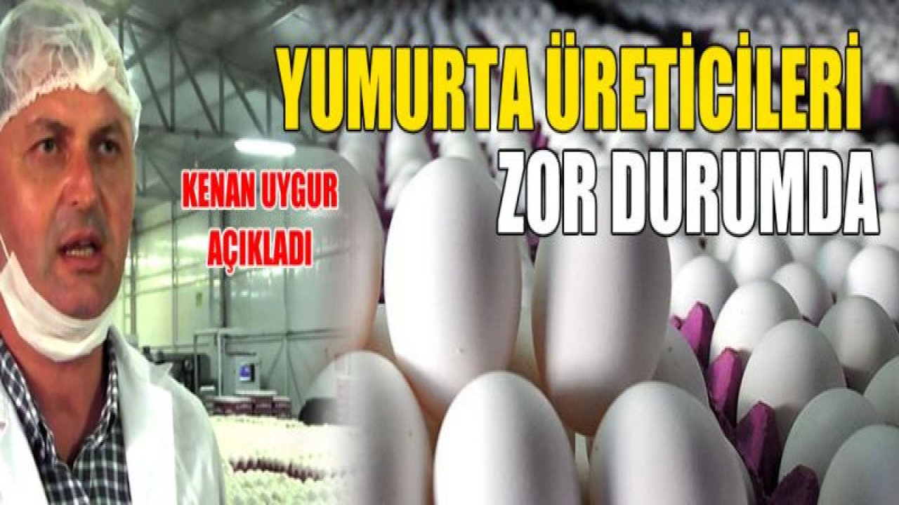 Yumurta Üreticileri ZOR GÜNLER GEÇİRİYOR