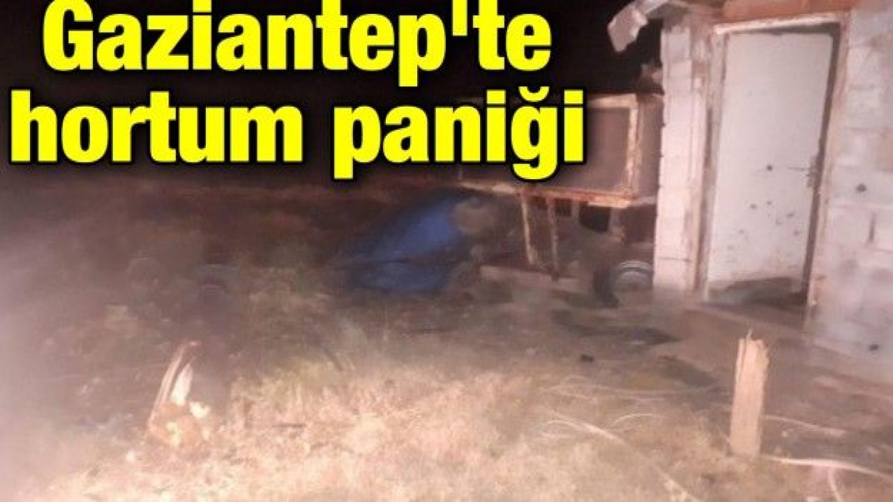 Gaziantep'te hortum paniği