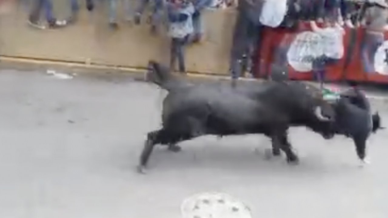 Meksika’daki boğa koşusunda 9 kişi yaralandı