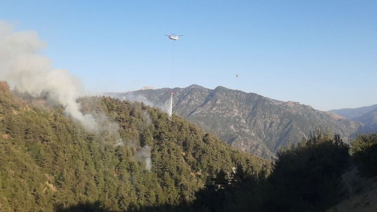 Kahramanmaraş’ta orman yangınına müdahale sürüyor