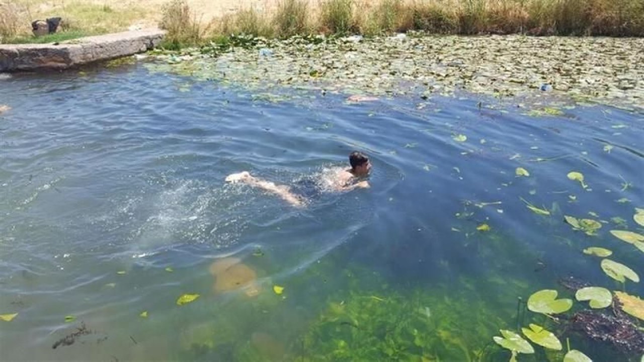 Gaziantep'te Kuruyan Bin Yıllık Doğa Harikası Karapınar Gölet'inden Yeni Haber...  Nilüfer çiçeklerinin bulunduğu Karapınar Gölü ve çevresinde düzenleme yapılacak