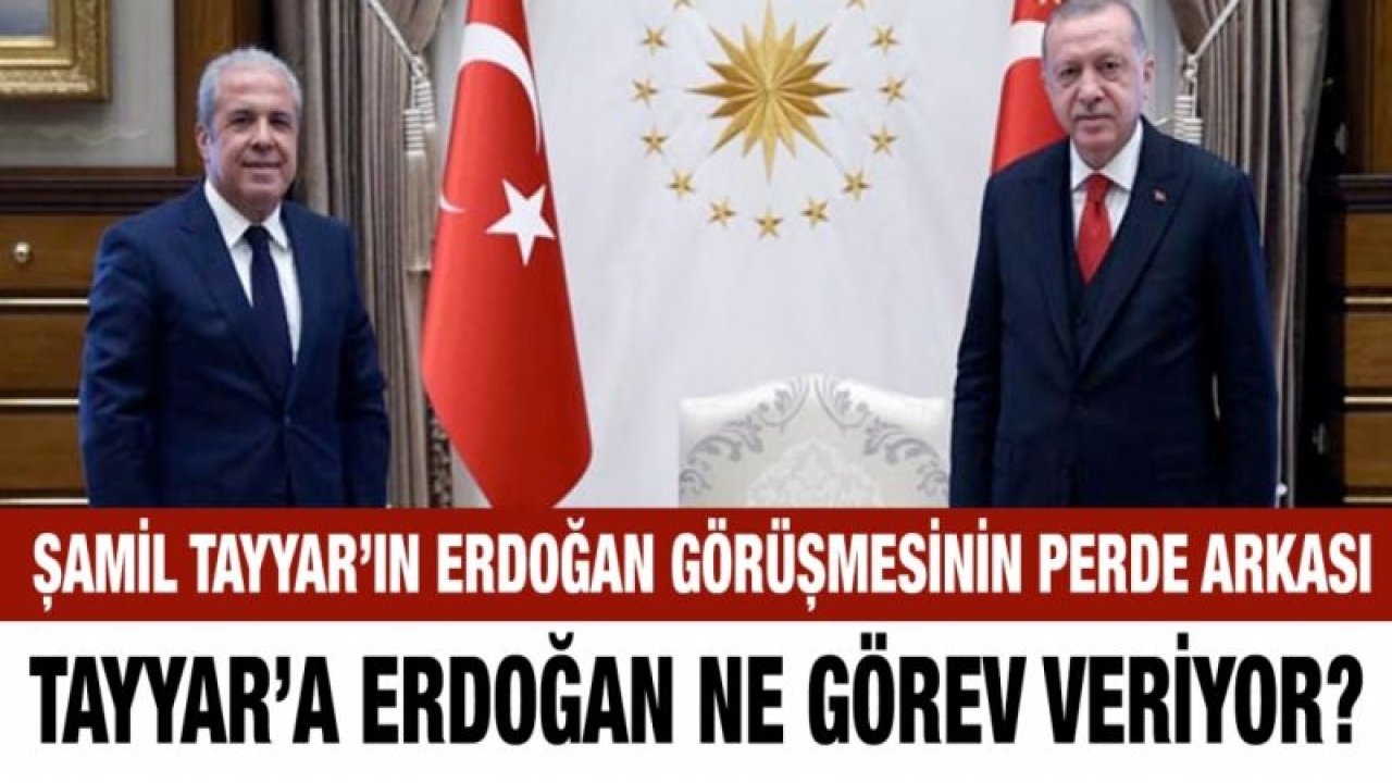 Şamil Tayyar’ın Erdoğan görüşmesinin perde arkası...  Tayyar’a Erdoğan ne görev veriyor?