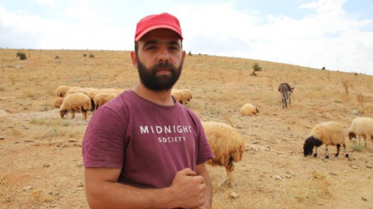 Gaziantep'te İflas Eden Ali Özkan Öğüç, Köye Dönerek Yeniden Hayata Tutundu! Köyde Hayvan Yetiştiriliciğine Başlayan Ali Özkan Öğüç'ün Örnek Başarısı... TIKLA İZLE