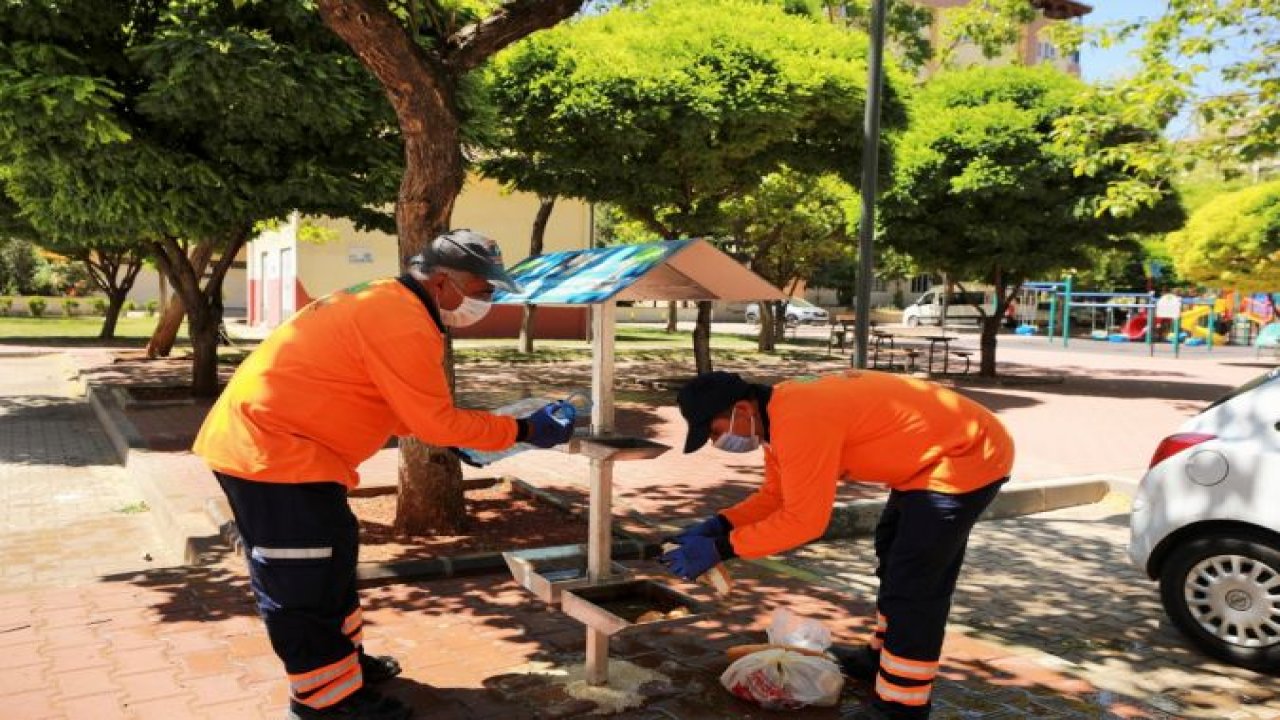 Sokak hayvanlarına su ve yiyecek desteği