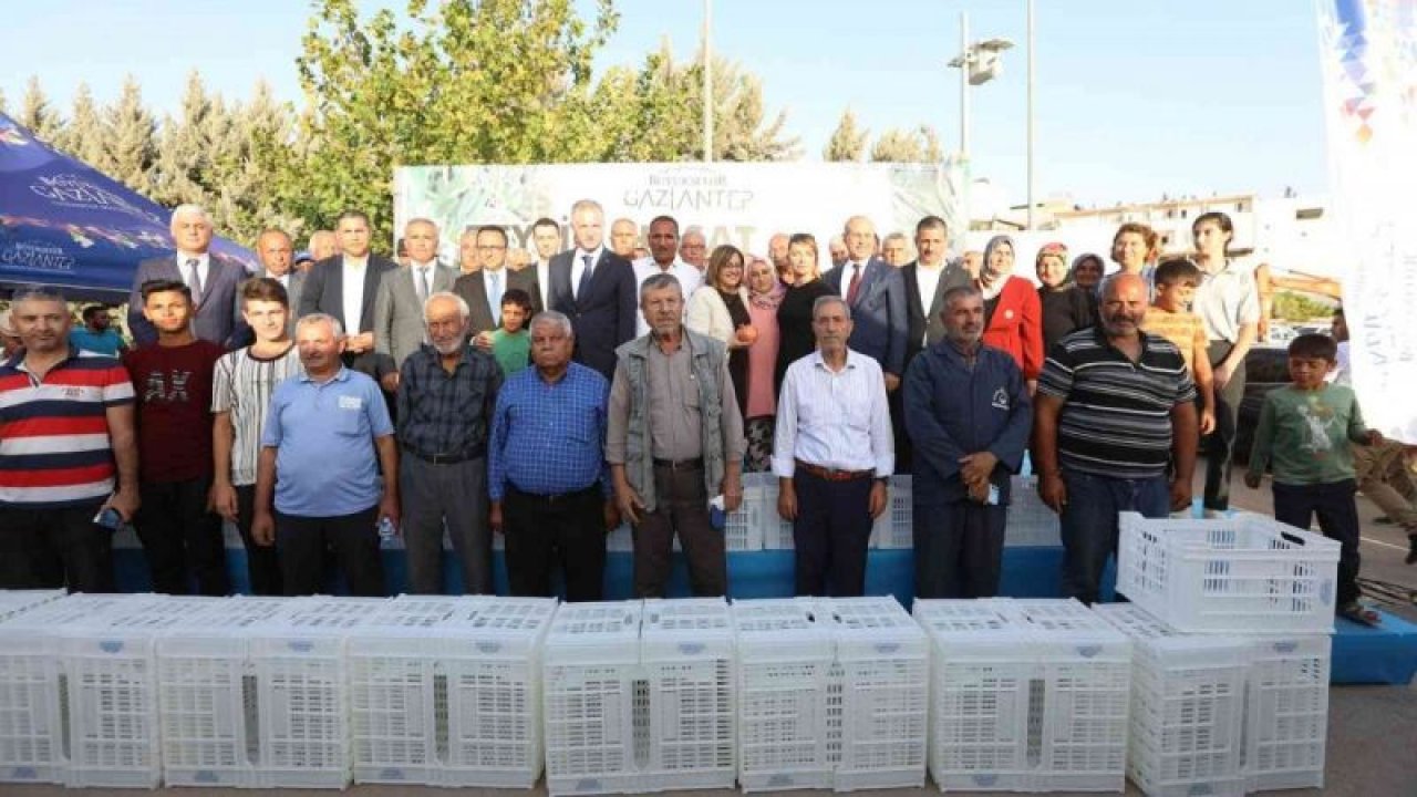 Gaziantep Büyükşehir Belediyesi 500 çiftçiye hasat kasası dağıttı