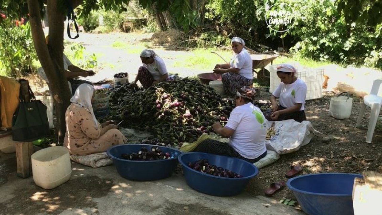 Antepli'nin YAZI, KIŞ OLDU! Antep Peyniri 150, Antep Salçası 130 liraya ulaştı! Antep'te Kurutmalıklar, Bulgur, Simit ve Pekmez topluca alınırdı! Ama Artık Gaziantepli Alamıyor...