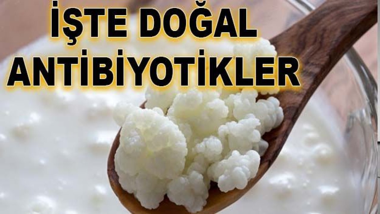 İşte Doğal Antibiyotikler