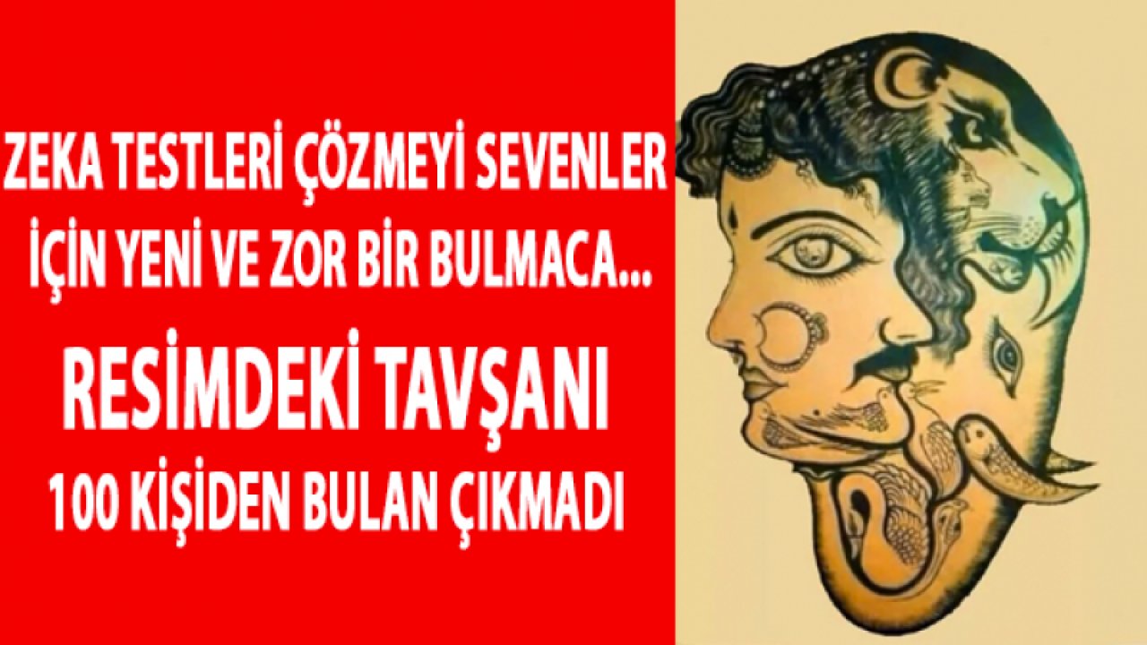 Zeka testleri çözmeyi sevenler için yeni ve zor bir bulmaca... Resimdeki tavşanı 100 kişiden bulan çıkmadı