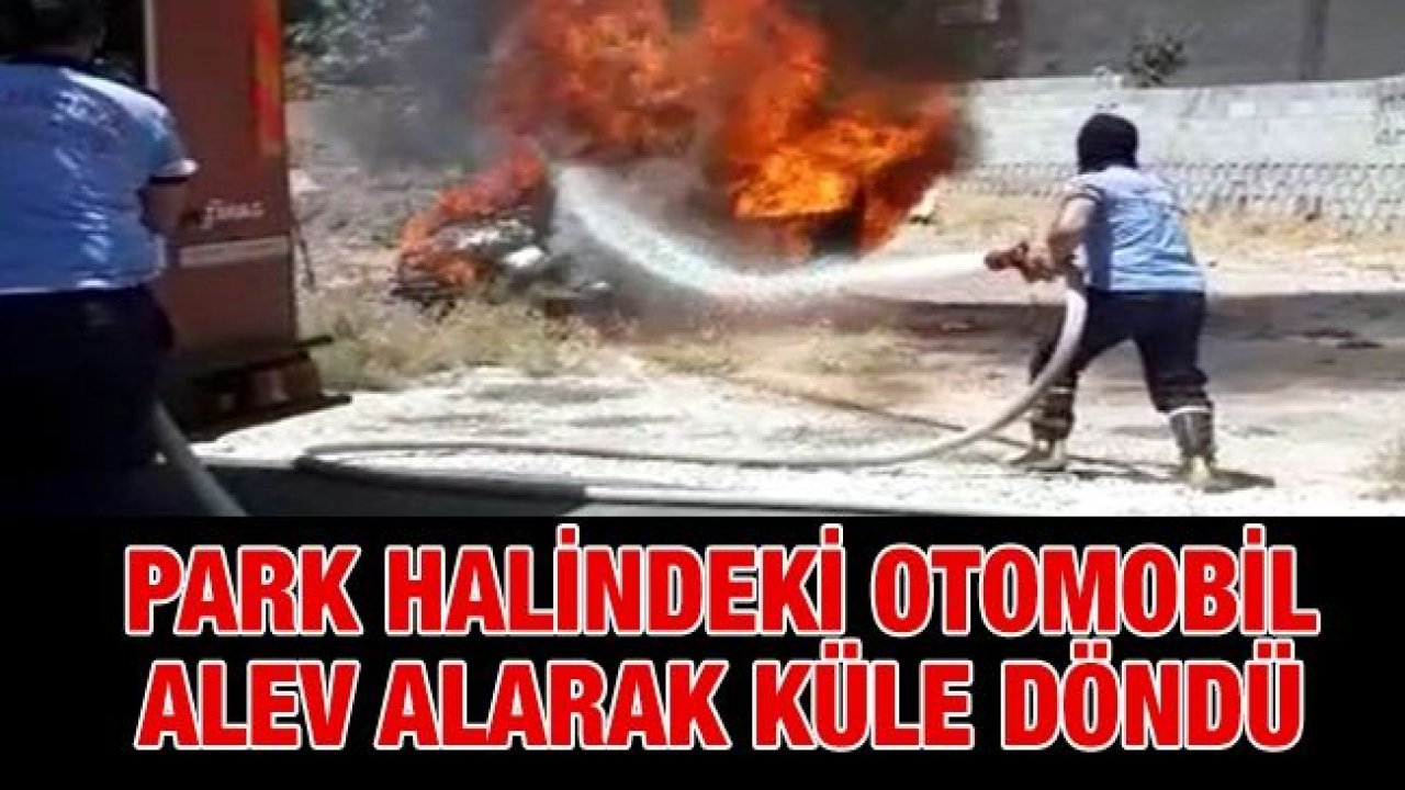 Park halindeki otomobil alev alarak küle döndü