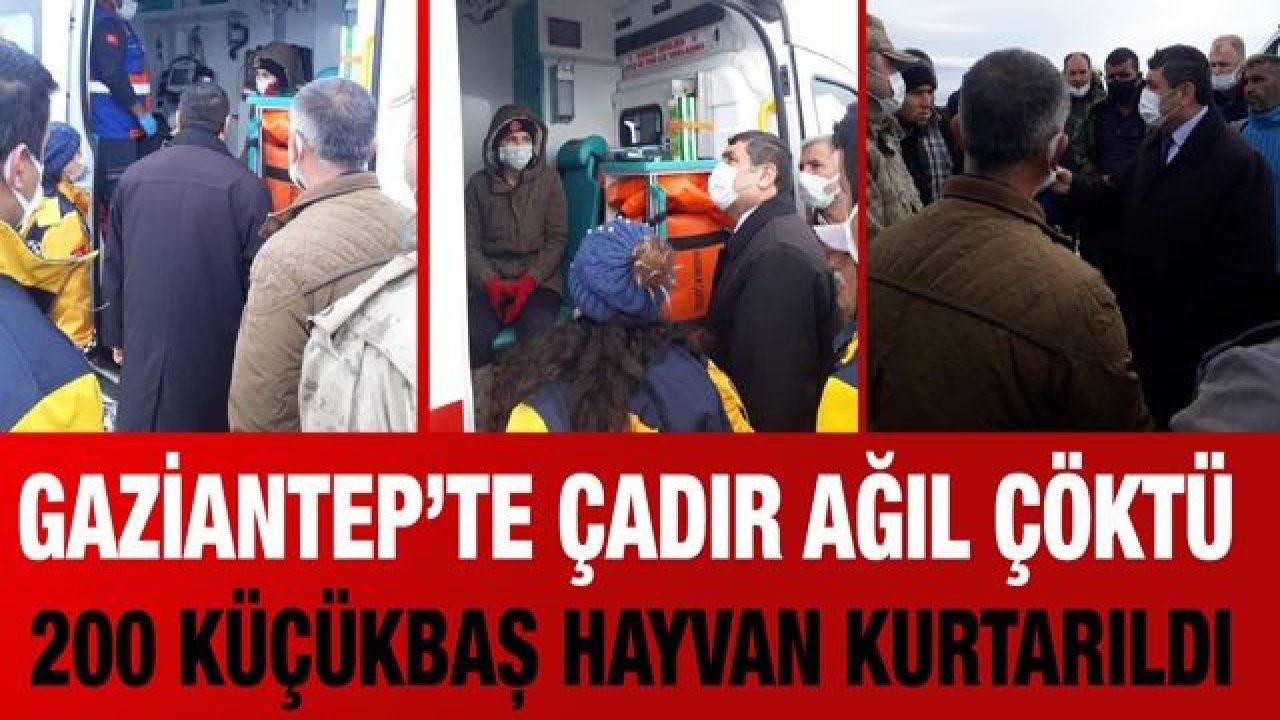 Gaziantep’te çadır ağıl çöktü