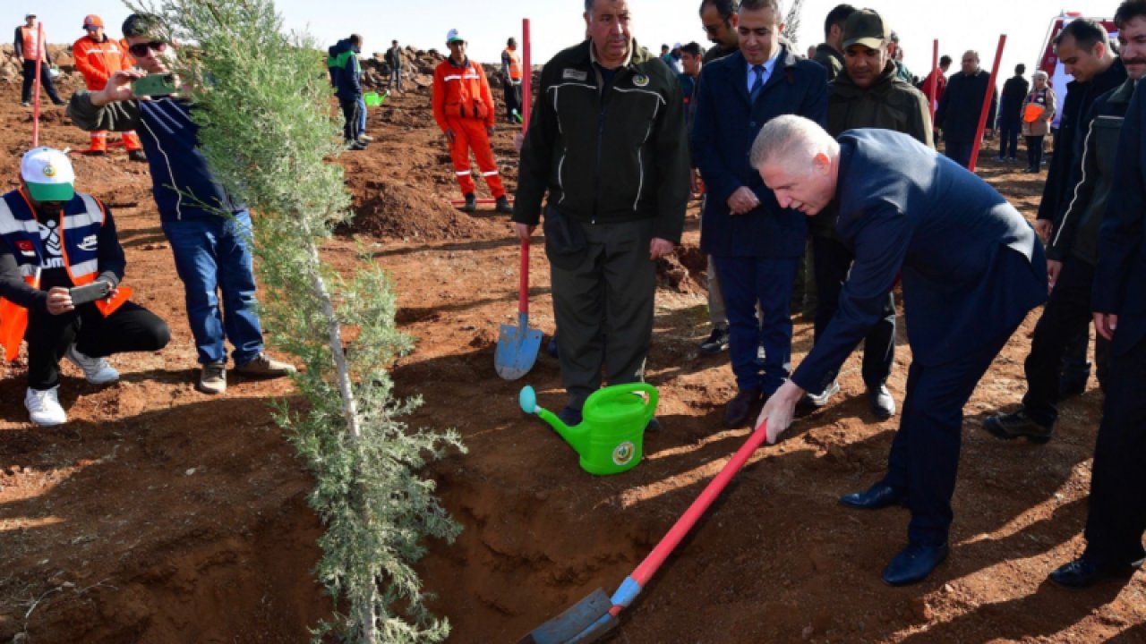 Gaziantep'te Vali Davut Gül'ün katılımıyla fidanlar toprakla buluştu