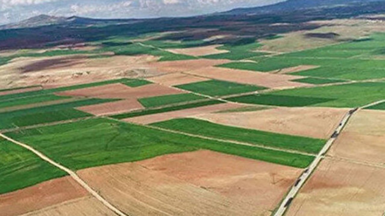 Gaziantep, Ordu, Muğla ve Bursa'daki bazı taşınmazlar,  satış yöntemiyle özelleştirilecek.    Resmi Gazete'de yayımlandı