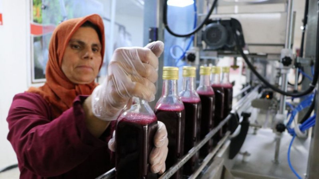 Gaziantep'in Oğuzeli ilçesi'nde geleneksel yöntemlerle üretilen nar ekşisi tesisleşmeyle katma değerini artırdı