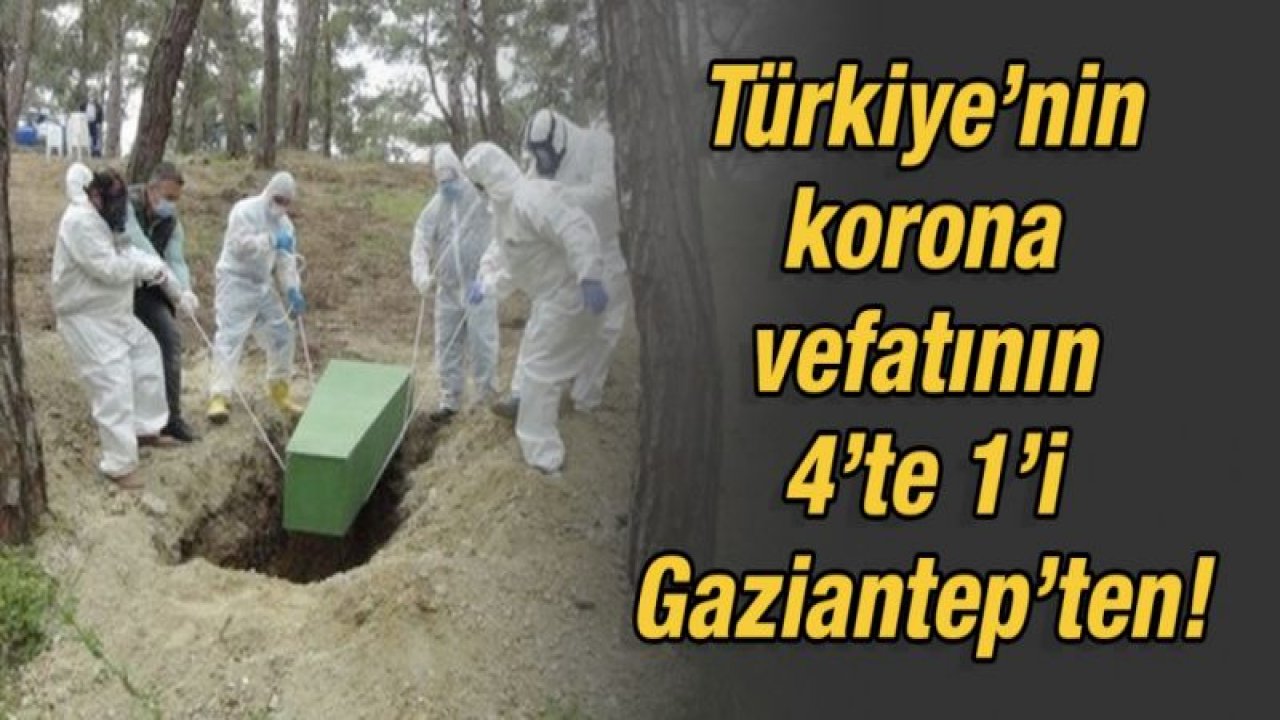 Türkiye’nin korona vefatının 4’te 1’i Gaziantep’ten!