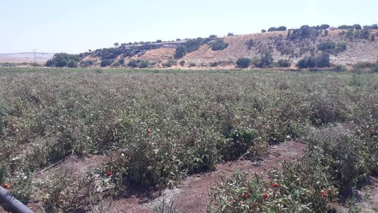 Son dakika! Gaziantep’te acı intihar! Üç çocuk annesi canına kıydı!