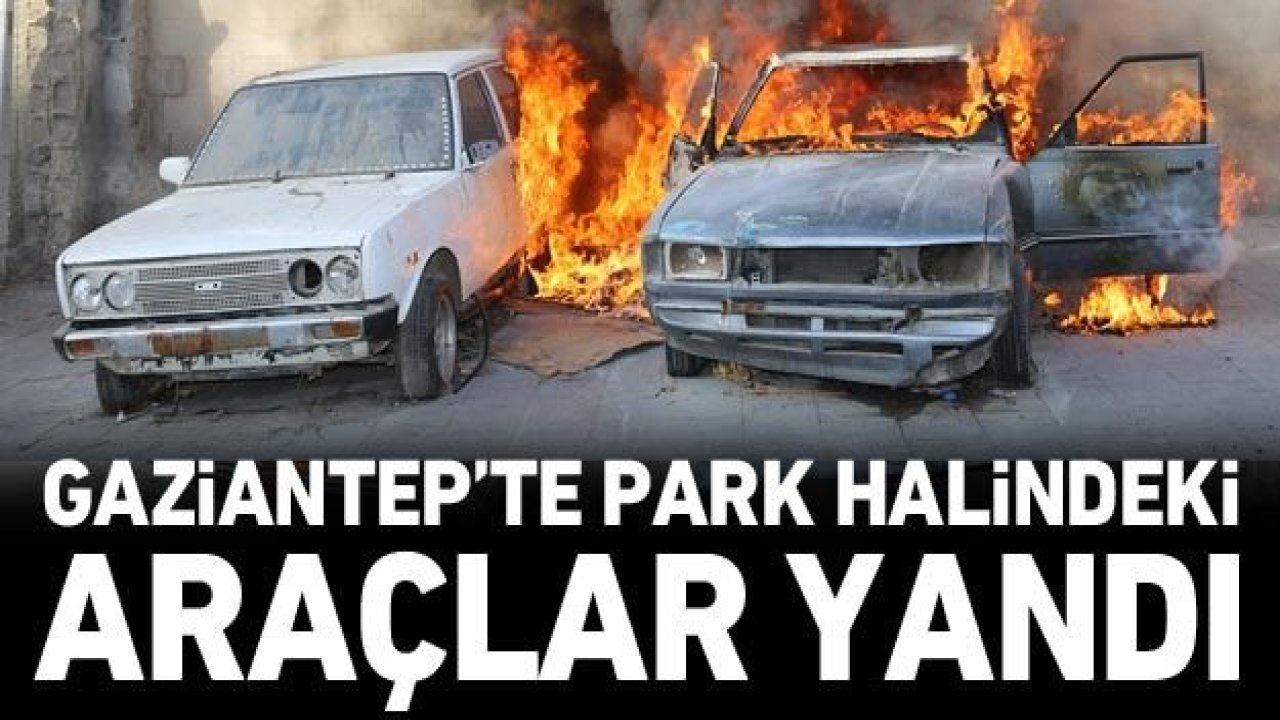 Park halindeki araçlar yandı