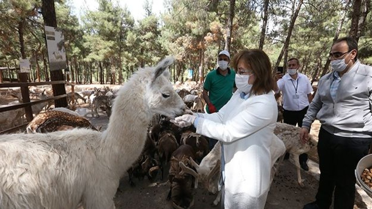 HAYVANAT BAHÇESİ, YENİDEN AÇILIŞI İÇİN GÜN SAYIYOR