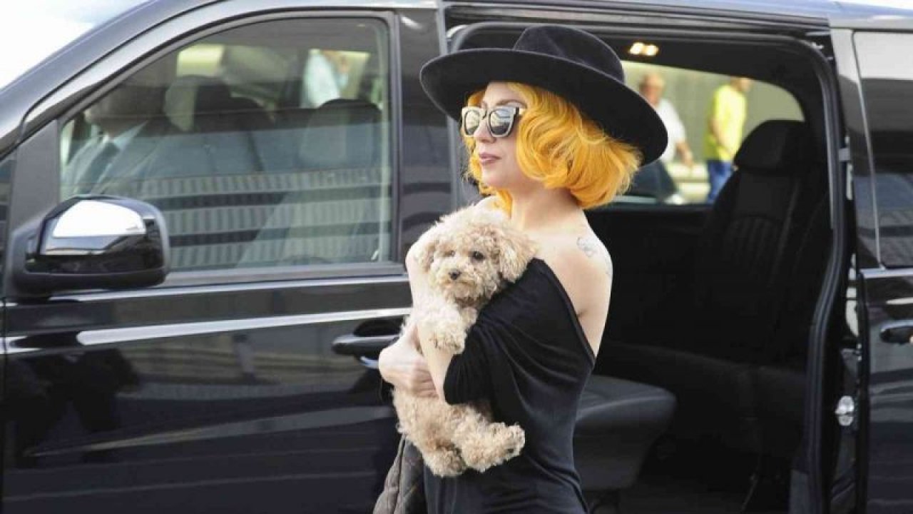 Lady Gaga’nın köpeklerini kaçıran saldırgana 21 yıl hapis cezası