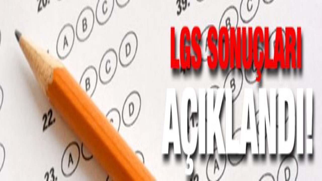 LGS sonuçları açıklandı! (2019 LGS sınav sonuçları son dakika)