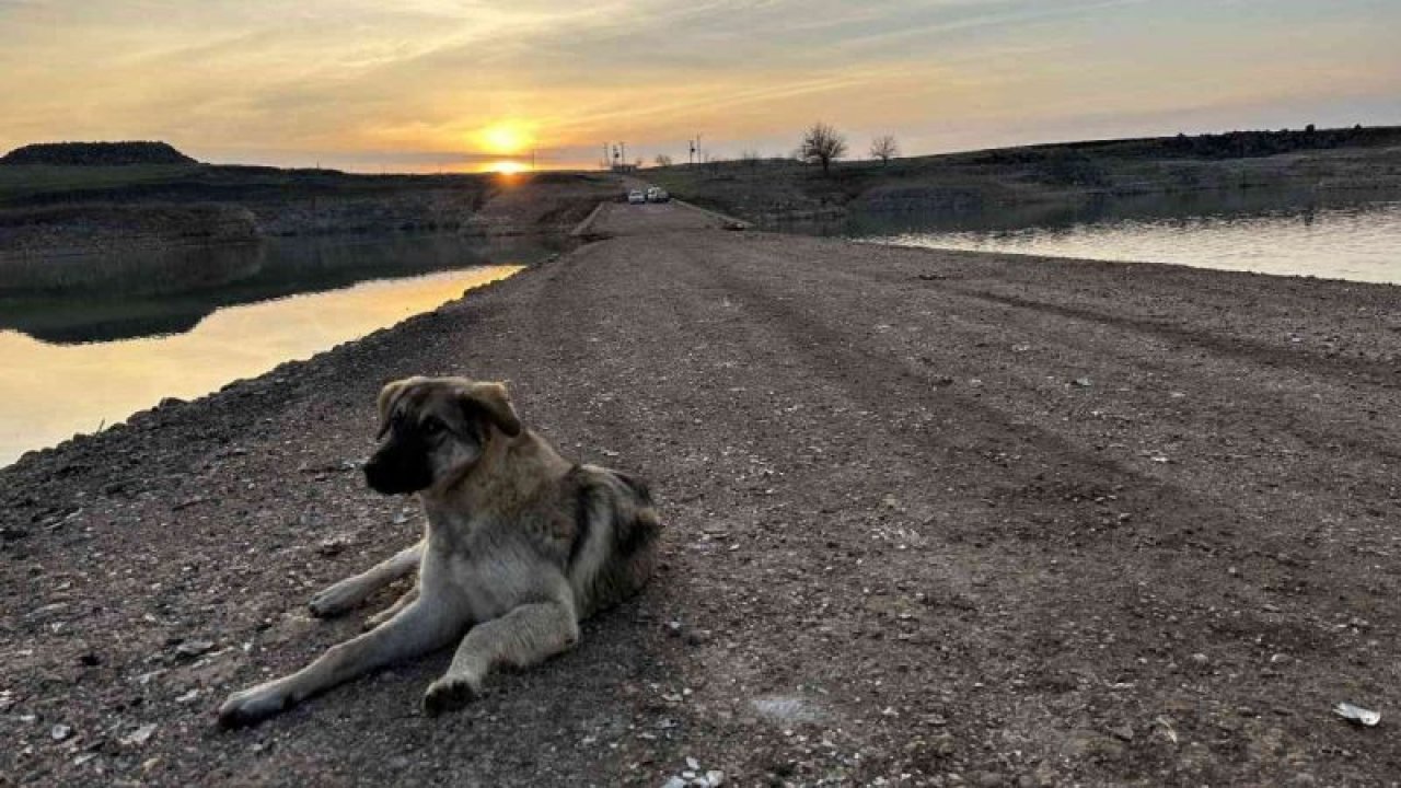 Sular çekilince tarihi köprü gün yüzüne çıktı