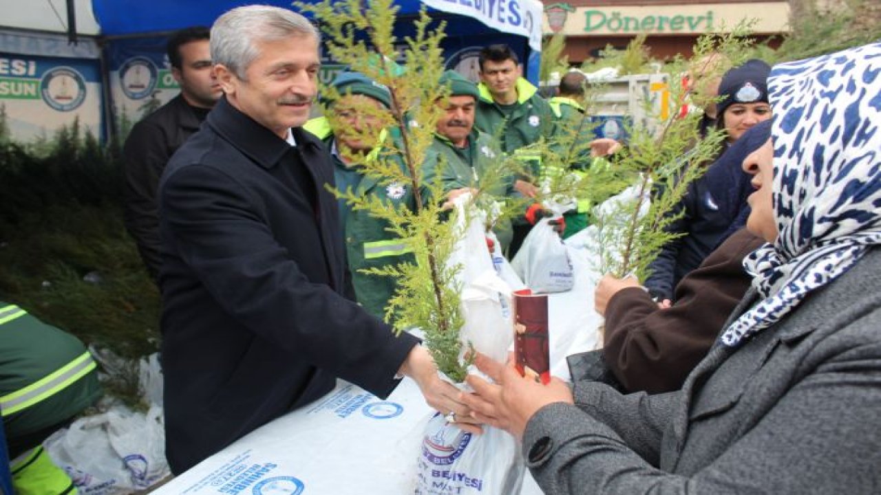 Şahinbey'de 150 bin çam fidanı dağıtıldı