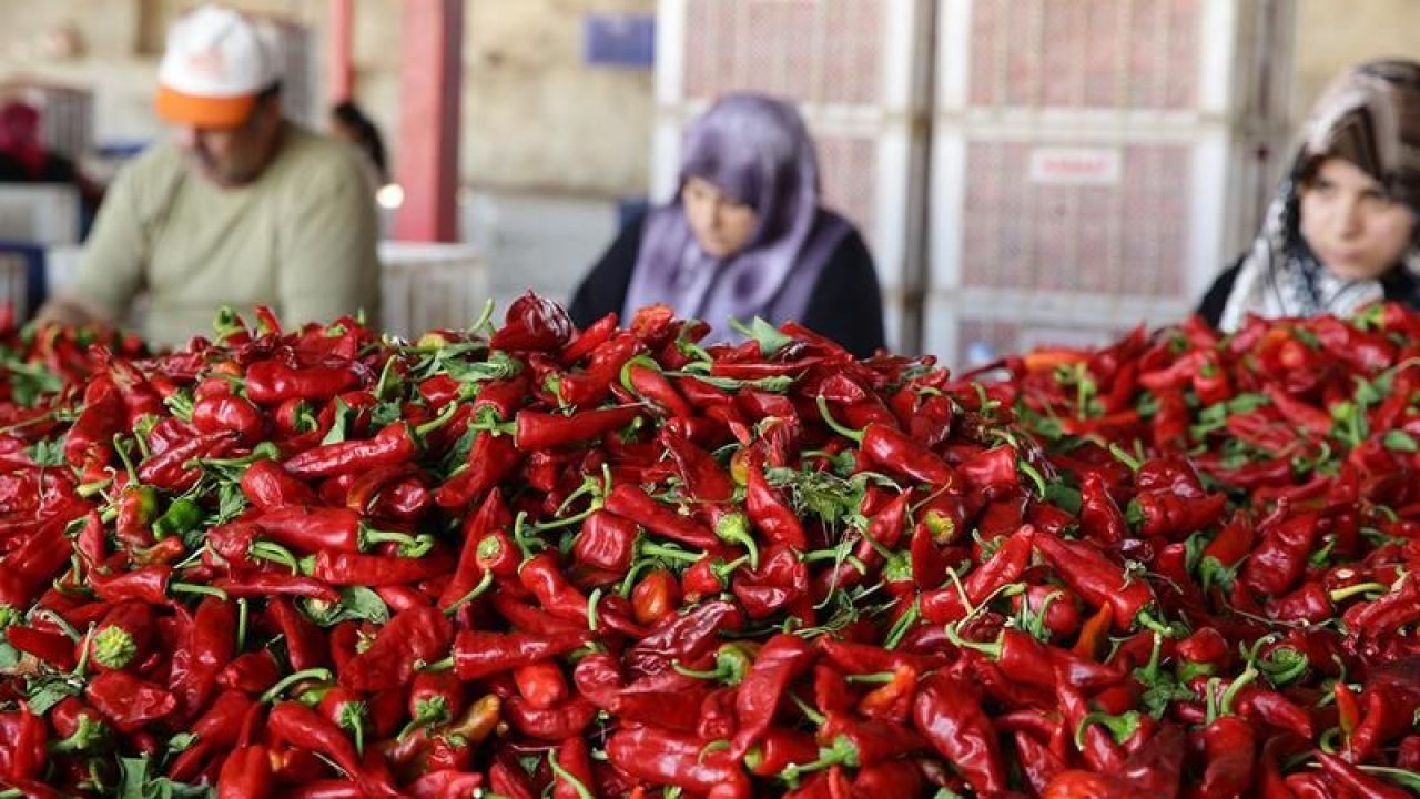 Gaziantep Sofrasının Olmazsa Olmazı Bibere Rekor Zam! Fiyatı 250 TL'ye Ulaştı!