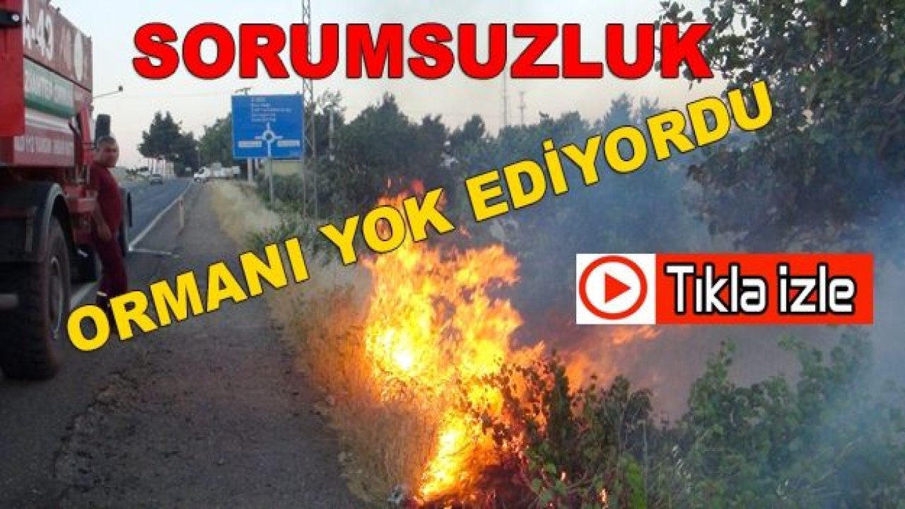 Son Dakika...Sorumsuzluk Ormanı Yakıyordu