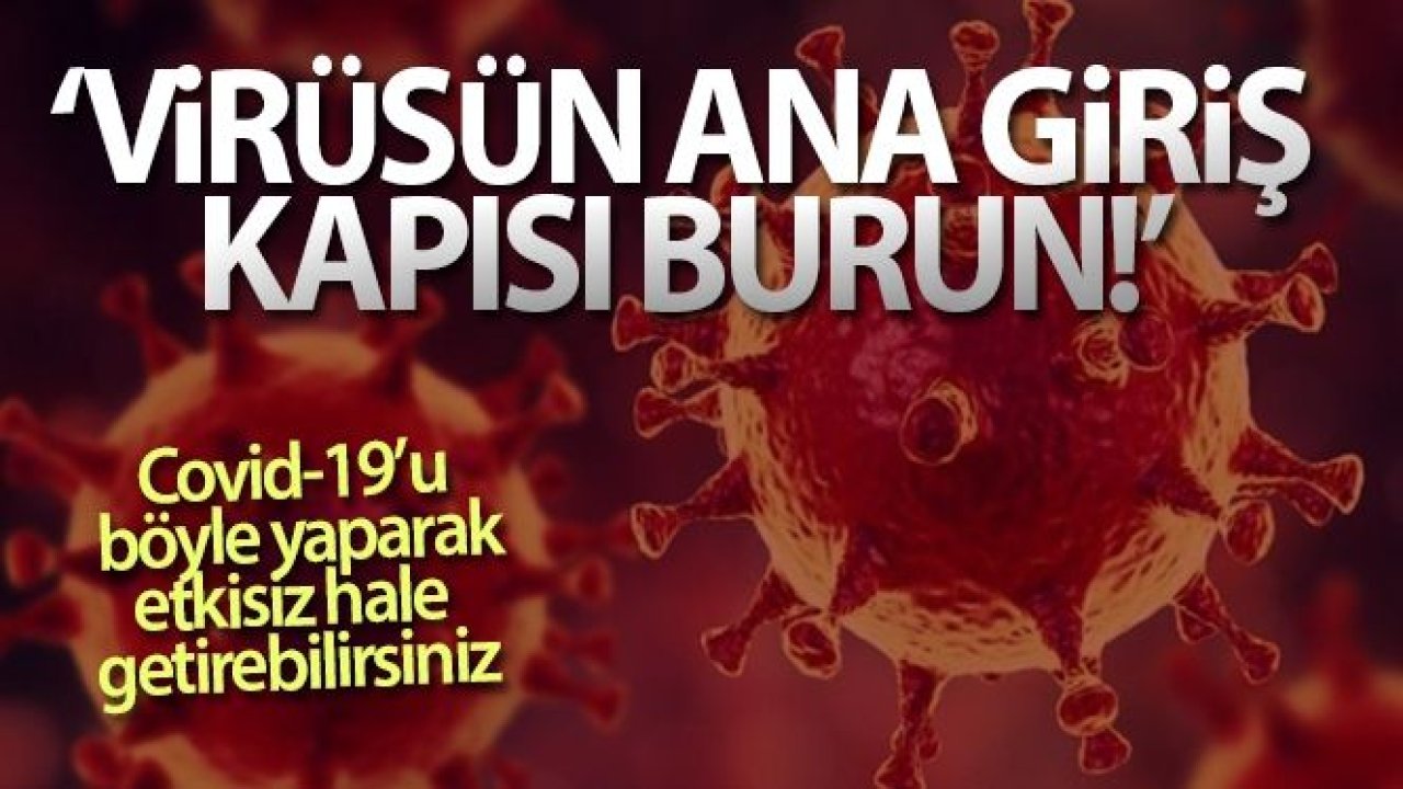 Prof. Dr. Oğuztürk: 'Virüsün ana giriş kapısı burun'