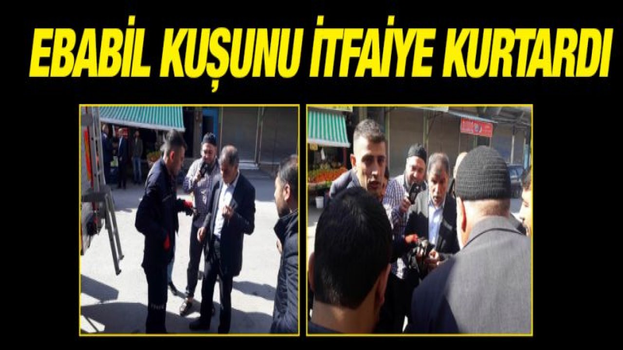 Evin duvarındaki ipe asılı kalan ebabil kuşunu itfaiye kurtardı