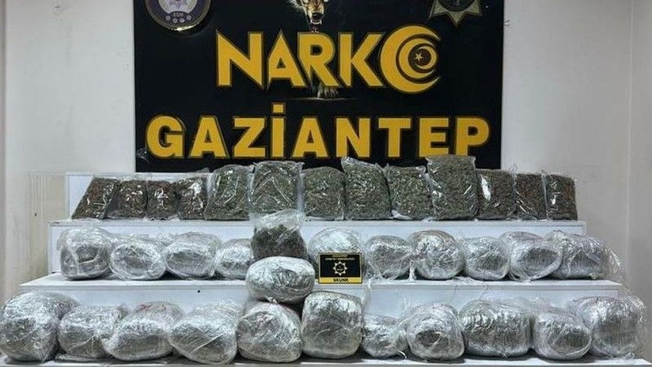 Gaziantep’te 28 kilo 400 gram skunk ele geçirildi