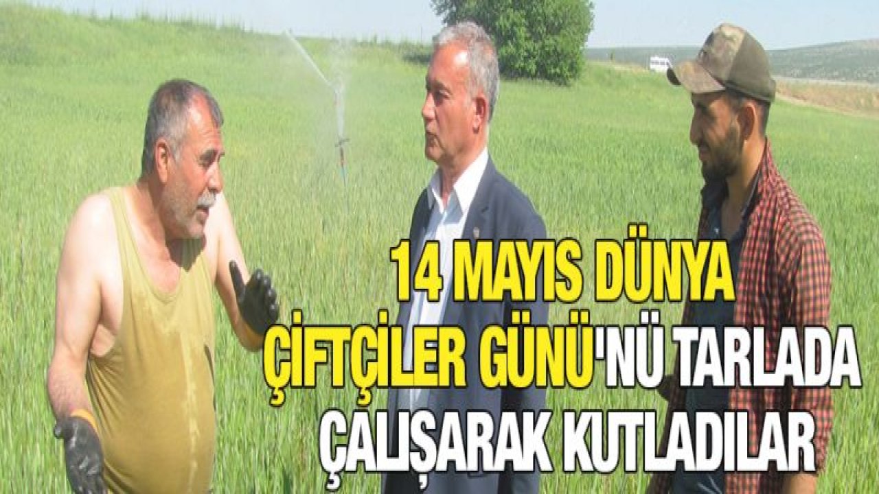 Çiftçiler Günü'nü tarlada çalışarak kutladılar