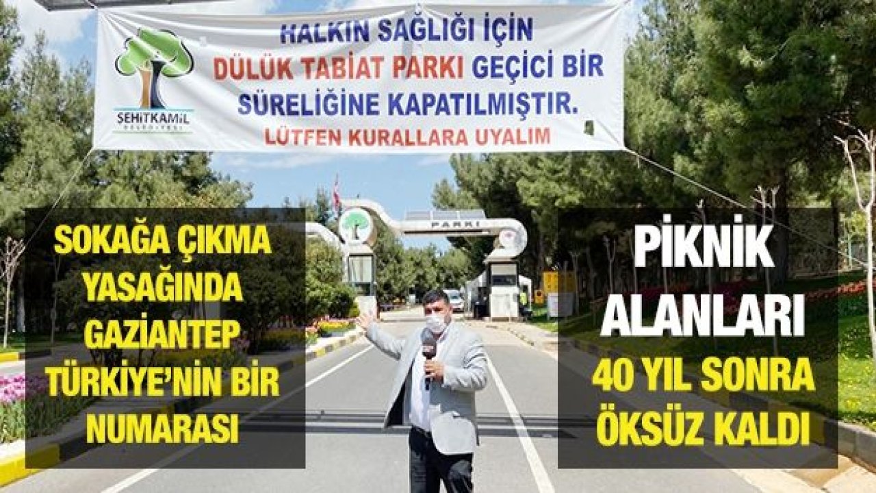 Piknik alanları 40 yıl sonra öksüz kaldı