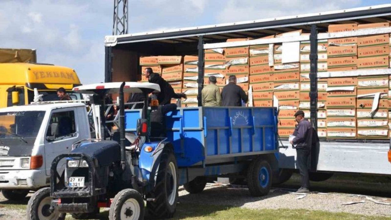 Şahinbey Belediyesi tarafından çiftçilere verilen fide desteği 33 milyonu buldu