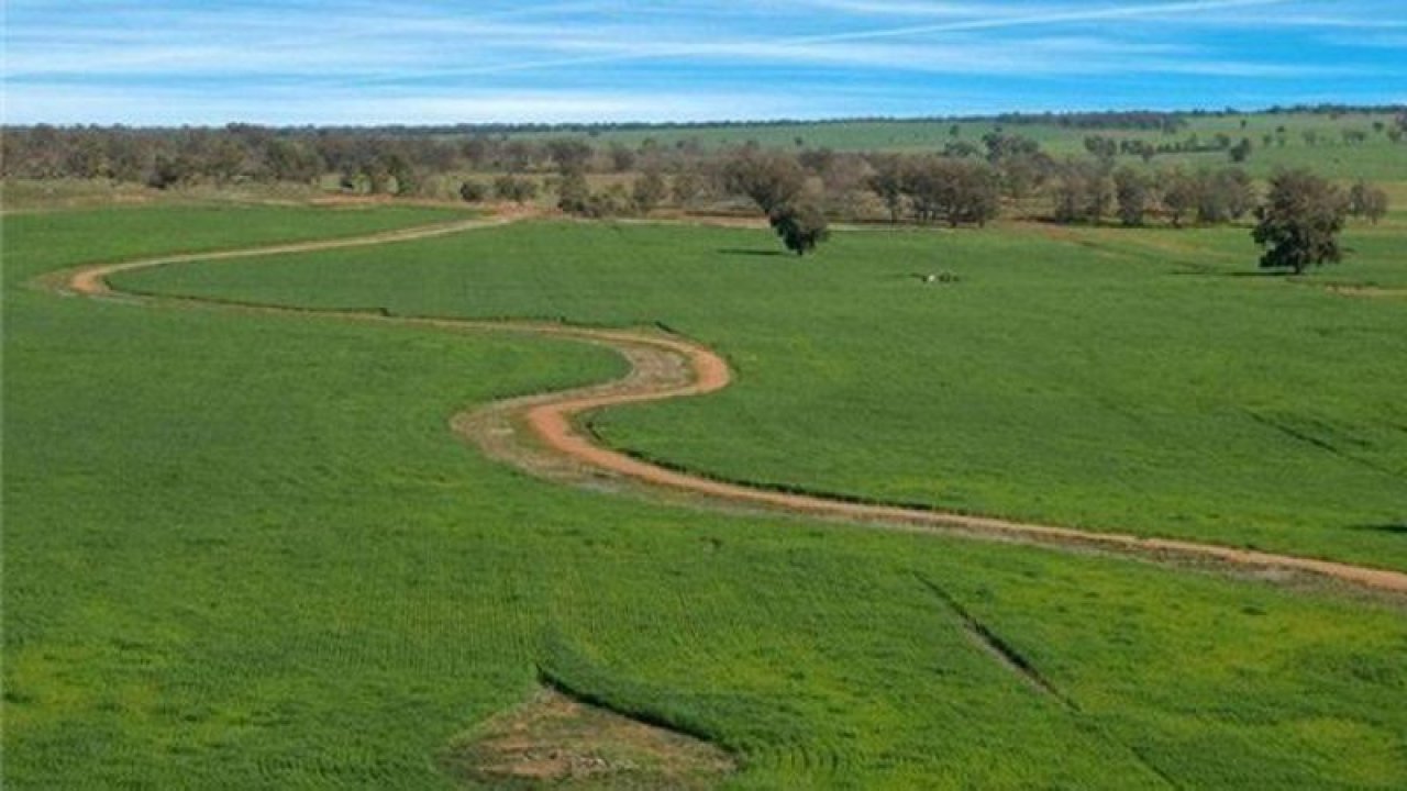 Gaziantep'te 10.488 m2 arsa satışı, Gaziantep İcra Dairesi tarafından açıklandı: Arsanın özellikleri ve satış değeri belli oldu! Artırma tarihleri…