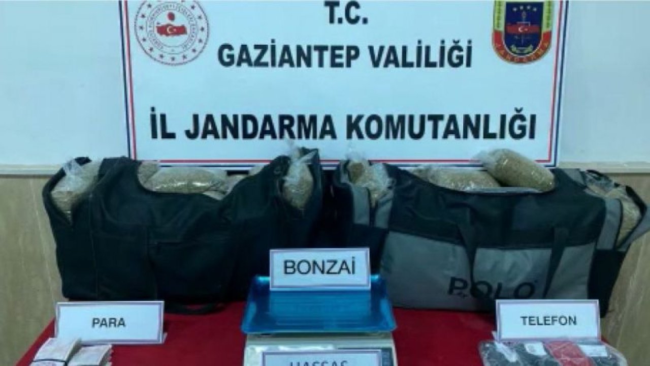 Gaziantep’te jandarma ekiplerinin gerçekleştirdiği dev operasyonda 33 kilo bonzai ele geçirildi