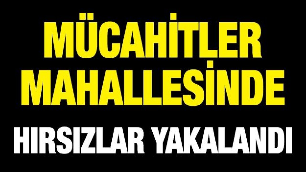 Mücahitler mahallesinde hırsızlar yakalandı