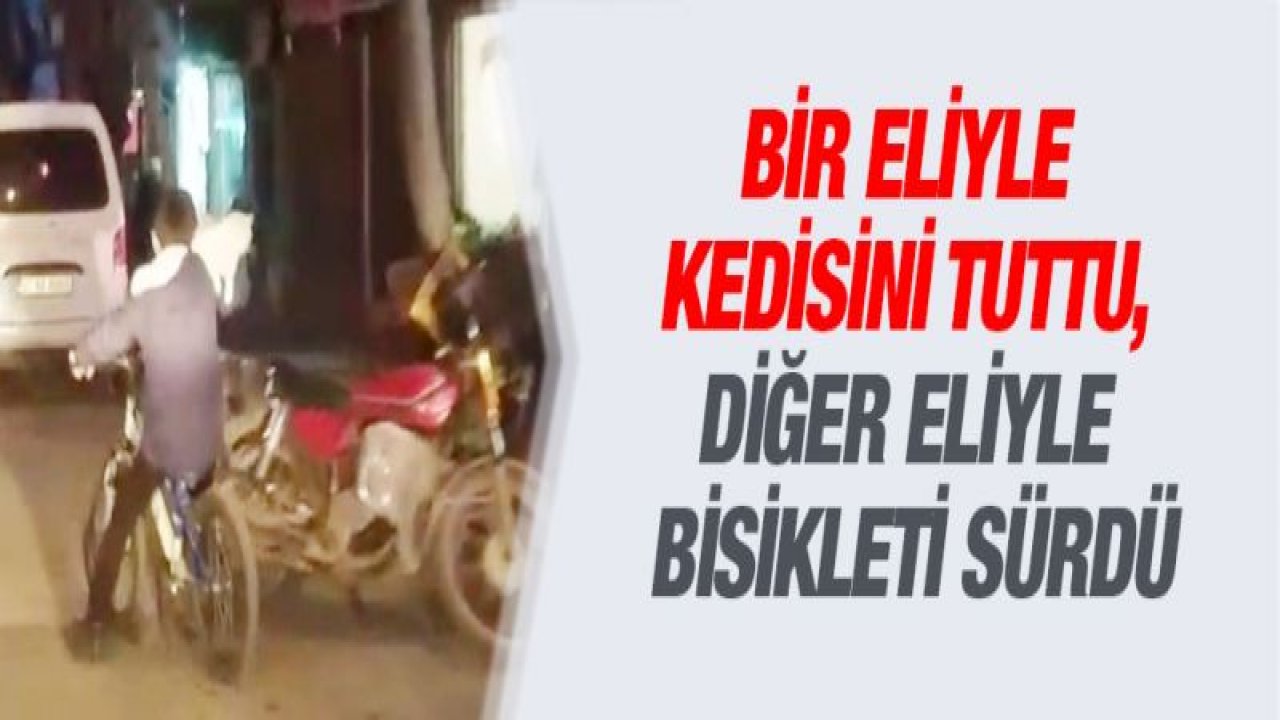 Bir eliyle kedisini tuttu, diğer eliyle bisikleti sürdü