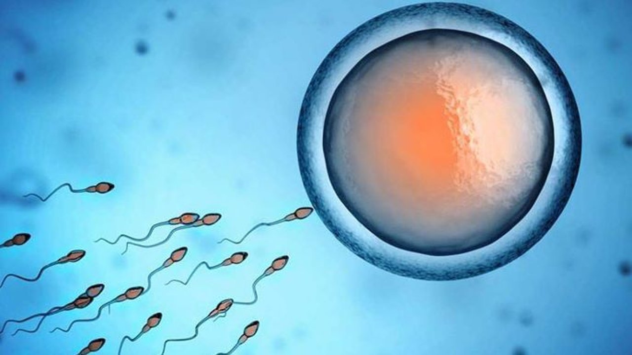 Sperm Donasyonu Nedir, Nasıl Yapılır?