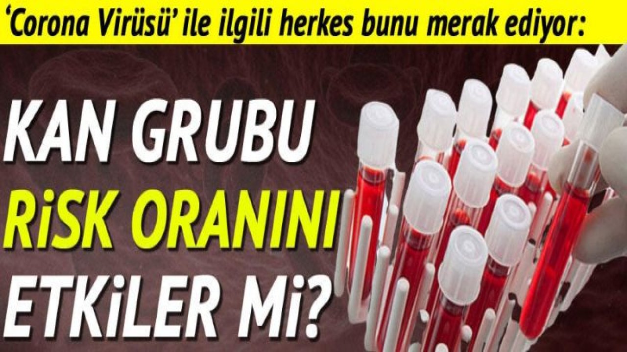 Corona Virüsü ile ilgili herkes bunu merak ediyor: Kan grubu risk oranını etkiler mi?